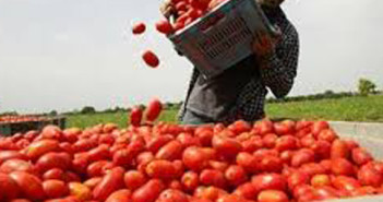 Lavoro nero, malcostume per meglio dire illegalità 20170404_lavoro_nero