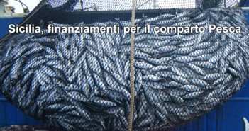 Sicilia, finanziamenti per la sicurezza nel comparto della pesca 20170504_siciliapesca