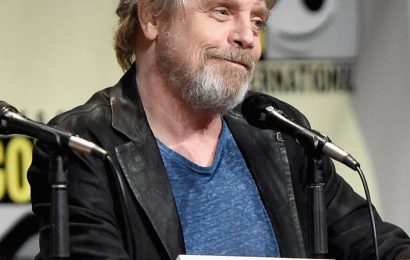 Mark Hamill Says Luke Skywalker Could Be Gay