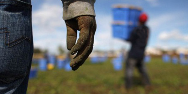 Caporalato, siglato protocollo di contrasto