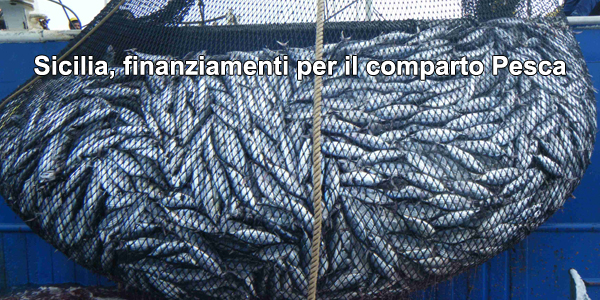 Sicilia, finanziamenti per la sicurezza nel comparto della pesca